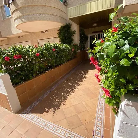 El Oasis De Andrea Apartamento Playa de Gandia